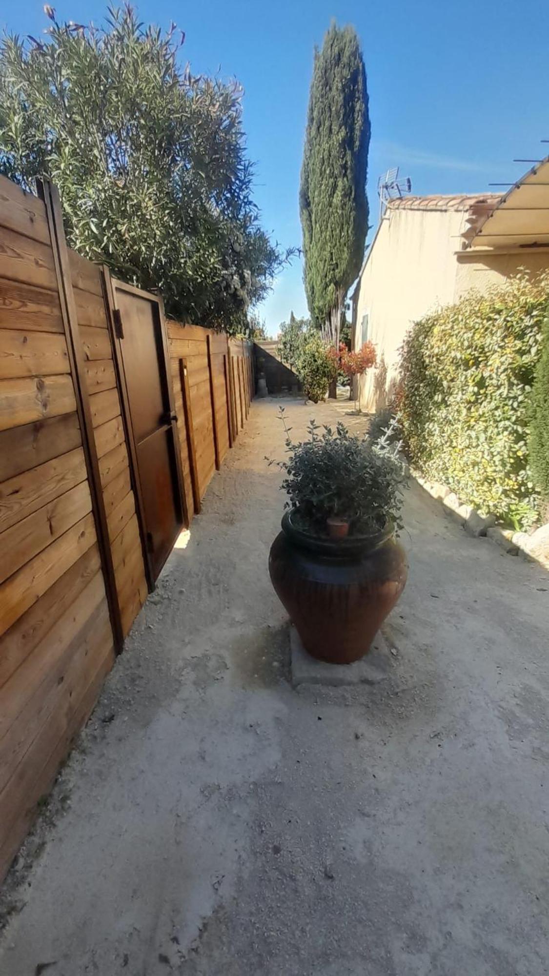Le Mazet De Louise Apartment Saint-Rémy-de-Provence Екстериор снимка